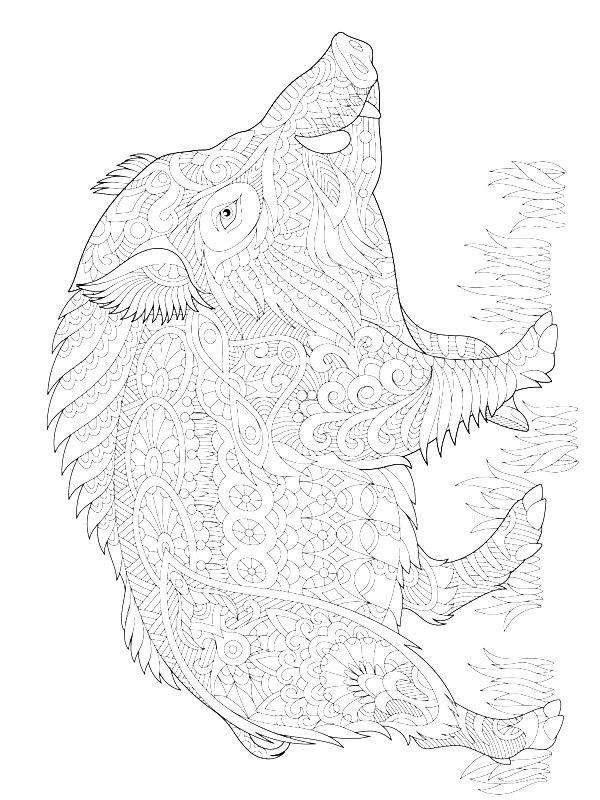 Ausmalbild Schweine Mandala  