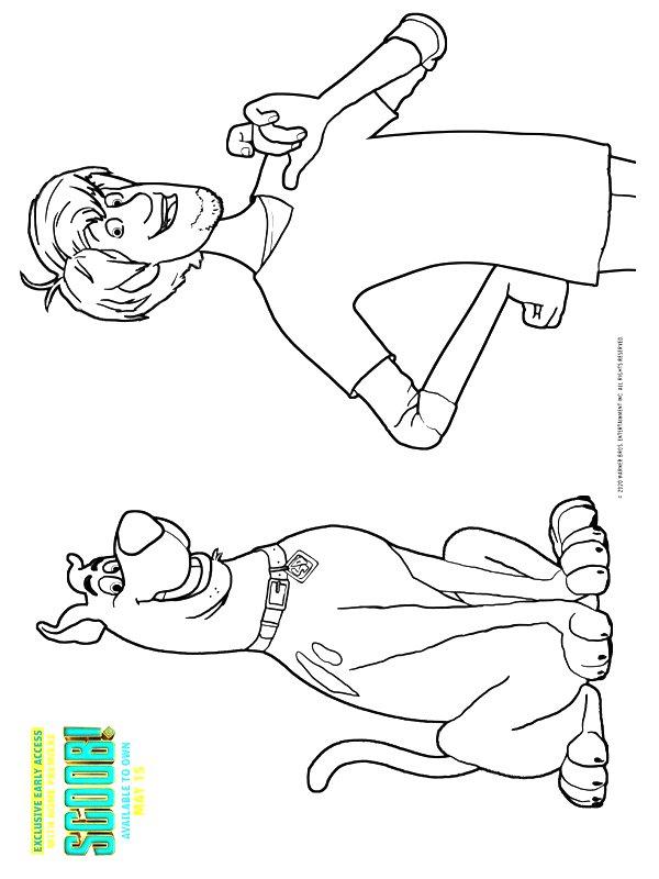 Ausmalbild Shaggy Rogers und Scooby-Doo  