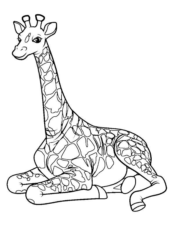 Ausmalbild Sitzende Giraffe  