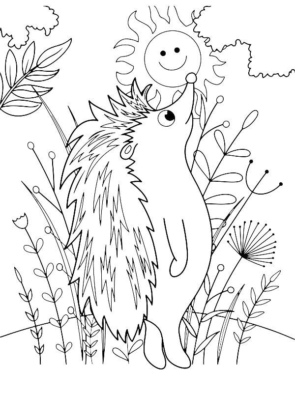 Ausmalbild Stehender Igel  