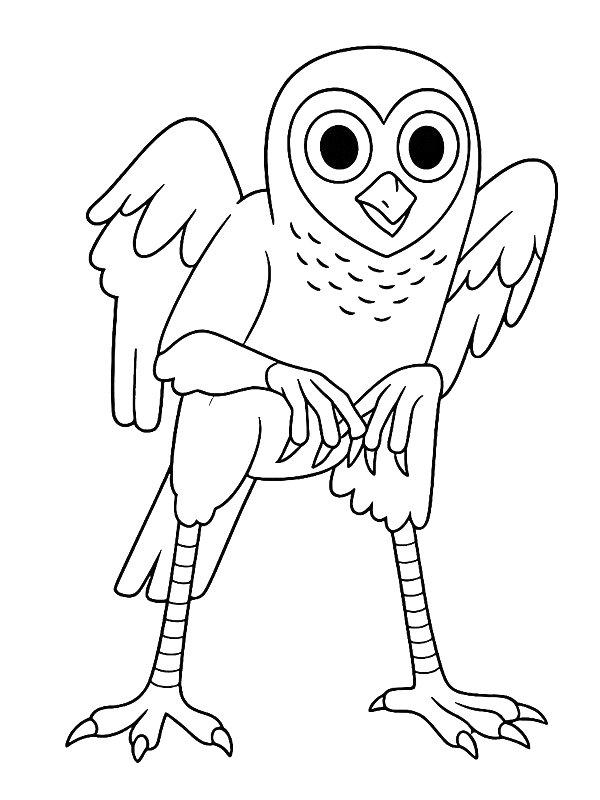 Ausmalbild The Owl  