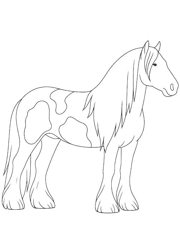 Ausmalbild Tinker Pferd  