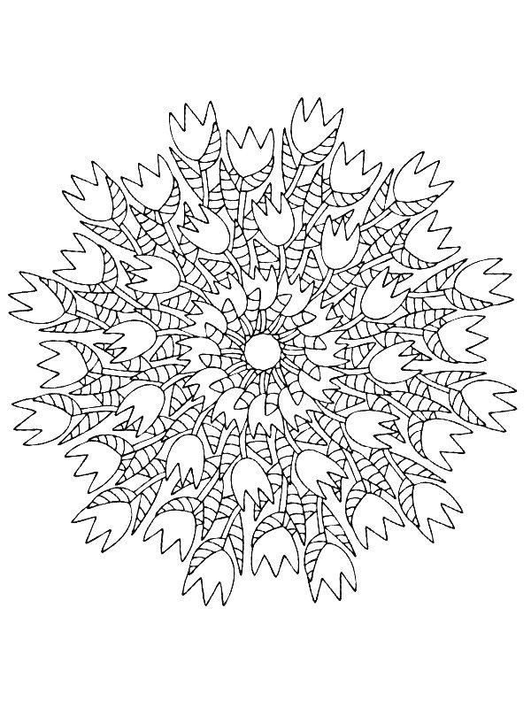 Ausmalbild Tulpen-Mandala  