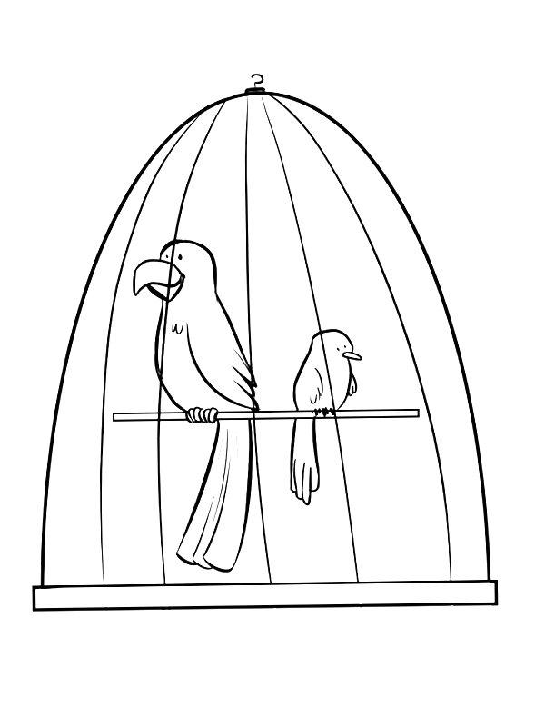 Ausmalbild Vögel im Vogelkäfig  