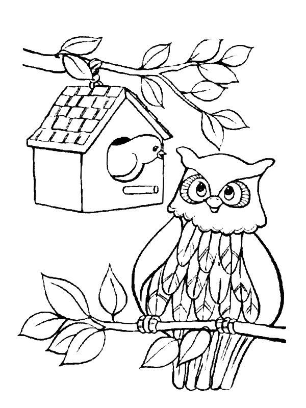 Ausmalbild Vogel und die Eule  