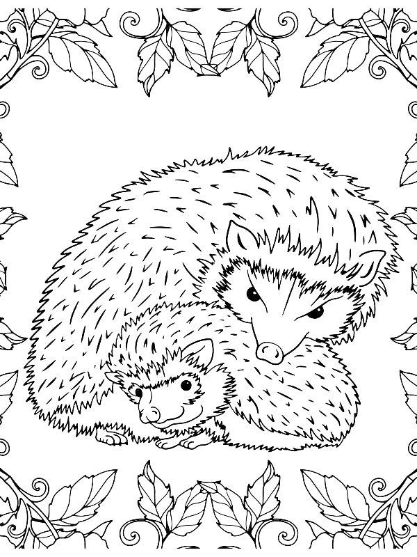 Ausmalbild Zwei Igel  