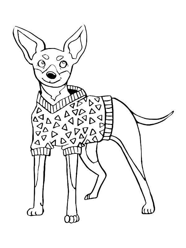 Ausmalbild Zwergpinscher  