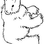 Ausmalbilder Bär
