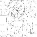 Ausmalbilder Hunde