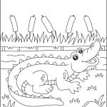 Ausmalbilder Krokodil