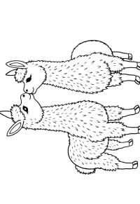 Ausmalbild 2 Alpakas küssen sich  
