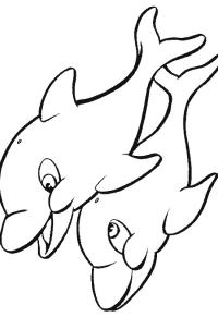 Ausmalbild 2 delfine  