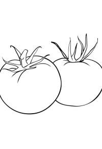 Ausmalbild 2 Tomaten  