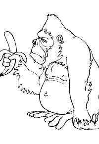 Ausmalbild Affe mit Banane  
