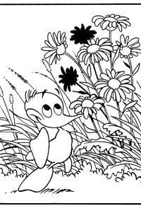 Ausmalbild Alfred J. Kwak  