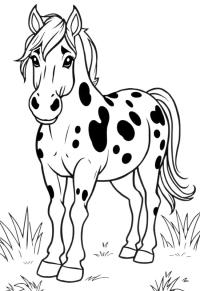 Ausmalbild Appaloosa pferd  