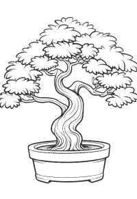 Ausmalbild Bonsai  
