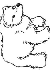 Ausmalbild Braunbär  
