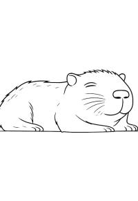 Ausmalbild Capibara schläft  