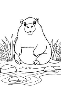 Ausmalbild Capybara am Wasser  