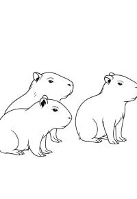 Ausmalbild Capybara-Babys  