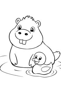 Ausmalbild Capybara schwimmt mit einer Ente  