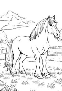 Ausmalbild Clydesdale Pferd  