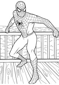 Ausmalbild Cooler Spiderman  