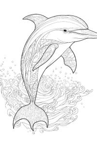 Ausmalbild Delfin für Erwachsene  