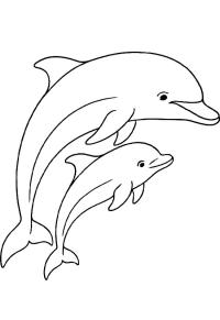 Ausmalbild Delfin mit Baby  