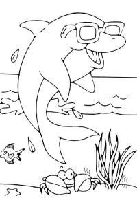Ausmalbild Delfin mit Sonnenbrille  