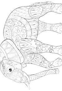 Ausmalbild Elefant für Erwachsene  