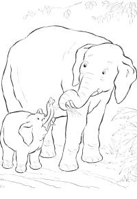 Ausmalbild Elefant und Baby-Elefant  