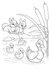 Ausmalbild Enten und Kaninchen  