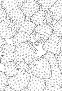 Ausmalbild Erdbeeren Hintergrund  