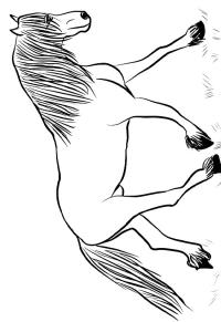 Ausmalbild Friesenpferd  