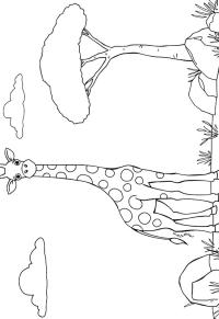 Ausmalbild Giraffe in die wilde  