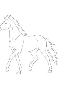 Ausmalbild Haflinger Pferd  