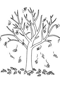 Ausmalbild Herbstbaum  