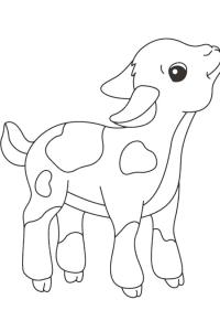 Ausmalbild Kalb  