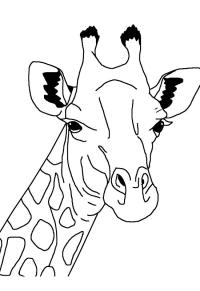 Ausmalbild Kopf Giraffe  