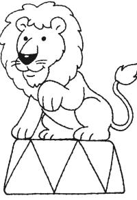 Ausmalbild Löwe im Zirkus  