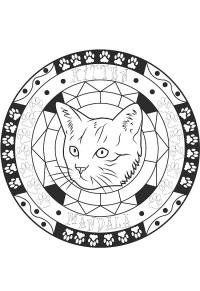 Ausmalbild Mandala Katzen  