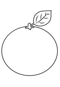 Ausmalbild Mandarine  
