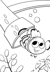Ausmalbild Nemo  