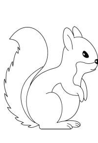 Ausmalbild Niedliches Eichhörnchen  
