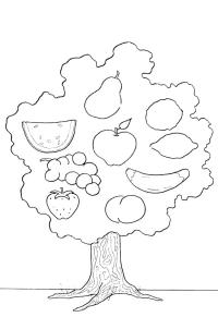 Ausmalbild Obstbaum  
