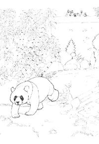 Ausmalbild Panda im Zoo  