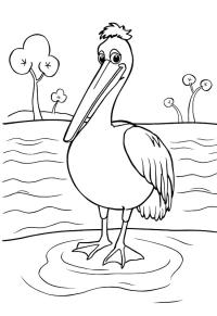 Ausmalbild Pelikan im Wasser  