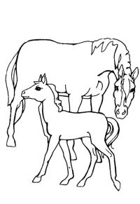 Ausmalbild Pferd und Fohlen  
